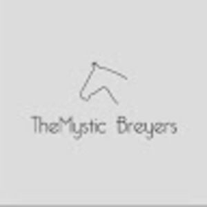 Meet your Posher, Redriver